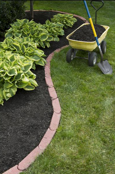 mulch
